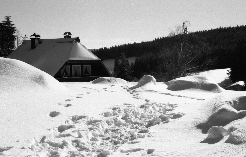 Iven Otis Sieglen - Analoge Fotografie Schnee Landschaft